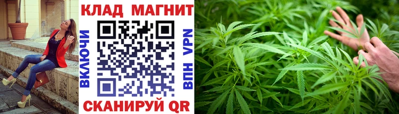 Цена Жирновск блэк спрут зеркало МЕФ АМФ Марихуана Гашиш A-PVP