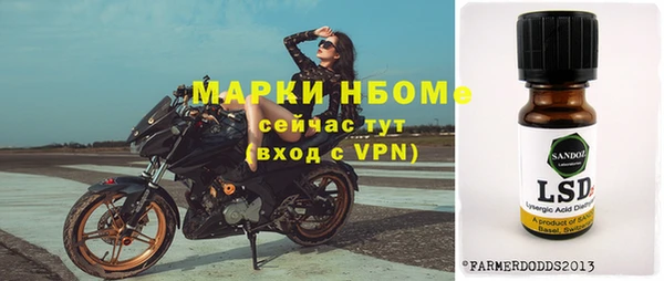 прущие грибы Михайловск
