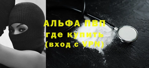 прущие грибы Михайловск