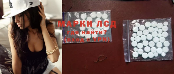 прущие грибы Михайловск