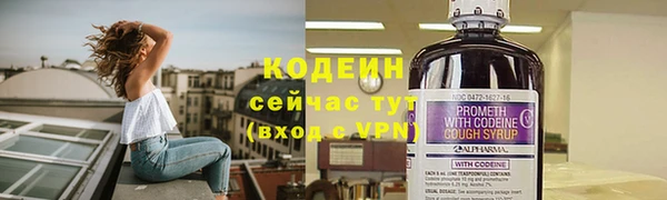 спиды Богородицк