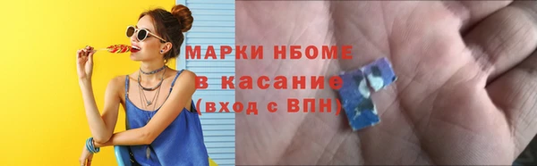 прущие грибы Михайловск