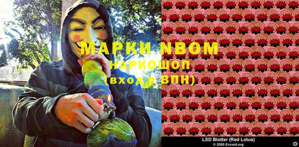 молекула духа Михайлов