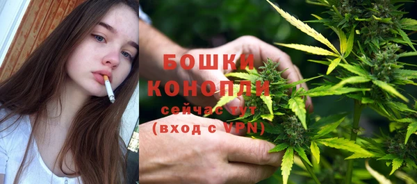 прущие грибы Михайловск