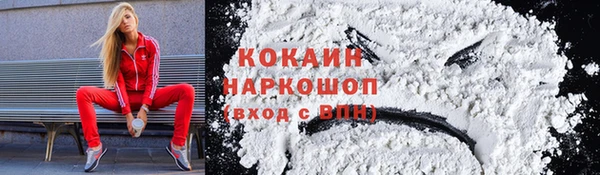молекула духа Михайлов