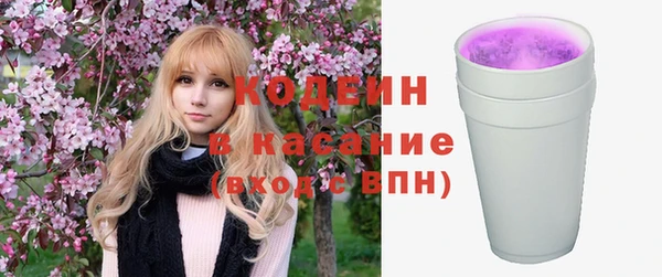 спиды Богородицк