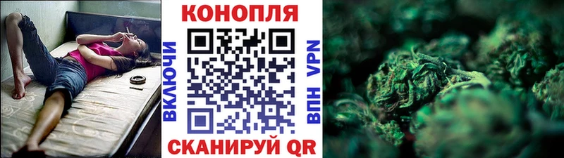 Конопля марихуана  Жирновск 